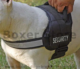 Nylon Dog Harness for Boxer ( Walking,Tracking Dog Harness) Nylon Dog Harness for Boxer ( Walking,Tracking Dog Harness)