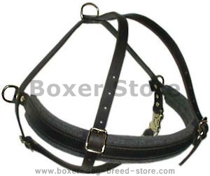 Boxer leather dog harness(handmade leather dog harness)