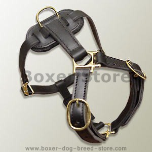 Boxer leather dog harness(handmade leather dog harness)