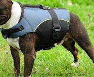 Boxer Dog Coat-Boxer Vest Harness-Cape Vest for Boxer dogs Boxer Dog Coat-Boxer Vest Harness-Cape Vest for Boxer dogs