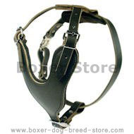 Heavy Duty Dog Harness for Boxer Heavy Duty Dog Harness for Boxer