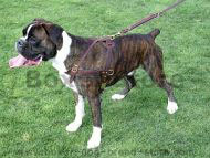 Tracking / Pulling / Agitation Leather Dog Harness For Boxer Tracking / Pulling / Agitation Leather Dog Harness For Boxer