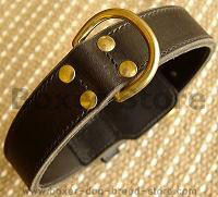 dog collar