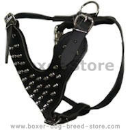 Spiked leather dog harness for Boxer - leather spiked harness Spiked leather dog harness for Boxer - leather spiked harness