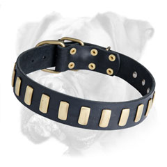 Boxer leather collar for different activities