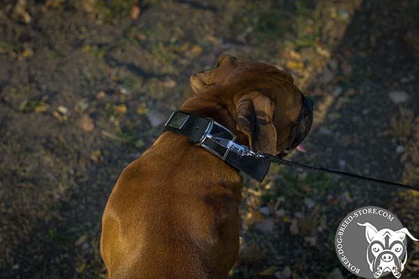 Nylon Boxer collar with nickel plated buckle
