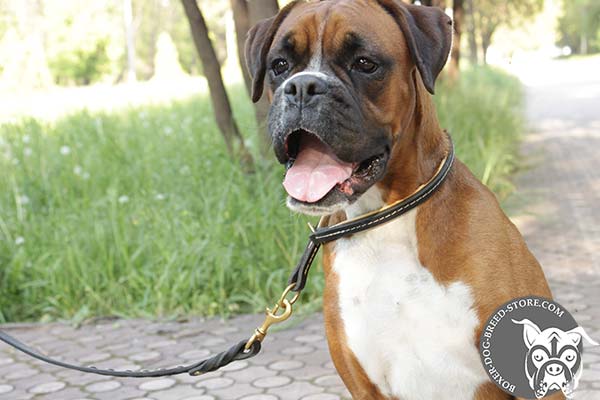 Nappa padded soft leather Boxer collar