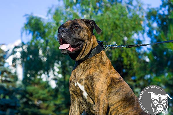 Hypoallergenic leather collar for Boxer