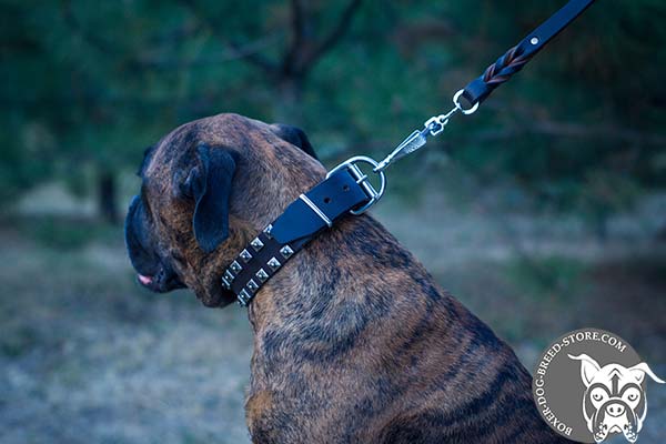 Boxer collar with nickel plated fittings