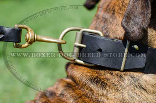 Strong brass hardware for leather Boxer collar