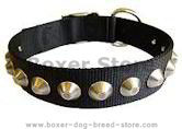 Gorgeous Wide Nylon Dog Collar With Nickle Pyramids Gorgeous Wide Nylon Dog Collar With Nickle Pyramids