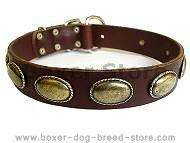 leather dog collar for boxer breed