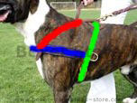 size harness for boxer