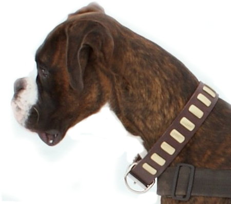 Designer  Collar on Boxer Collar  Leather Dog Collar With Plates Designer Collar