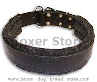 Padded Leather dog collar with thick felt - C24 Padded Leather dog collar with thick felt - C24