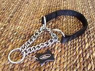 All Weather Nylon Martingale Dog Collar All Weather Nylon Martingale Dog Collar