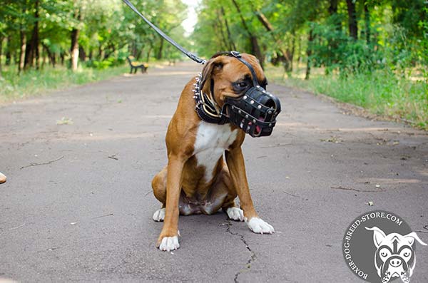 Royal Leather Basket Muzzle for Boxer [M41R#1013 Royal Leather Muzzle