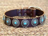 boxer dog collar