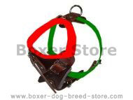 boxer size harness
