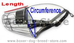 boxer dog muzzle