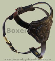Small Leather Dog Harness for Boxer puppy Small Leather Dog Harness for Boxer puppy