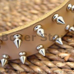 spiked dog collar for boxer