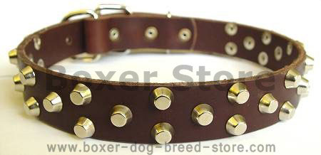 leather dog collar for boxer dog