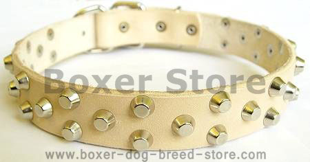 Boxer dog collar - tan colar