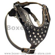 Boxer Studded Leather Dog Harness with Pyramids Boxer Studded Leather Dog Harness with Pyramids