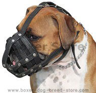 Boxer dog supplies hotsell