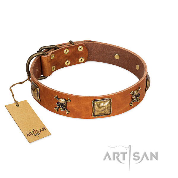 Fashionable genuine leather dog collar with rust resistant studs