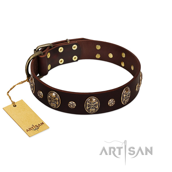 Decorated genuine leather collar for your canine