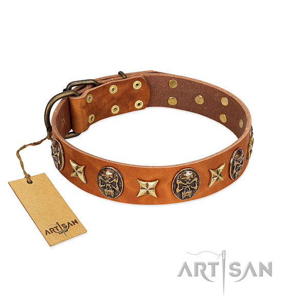 Inimitable full grain leather collar for your canine