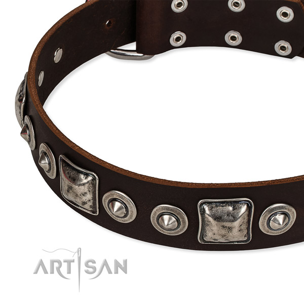 Full grain natural leather dog collar made of high quality material with embellishments