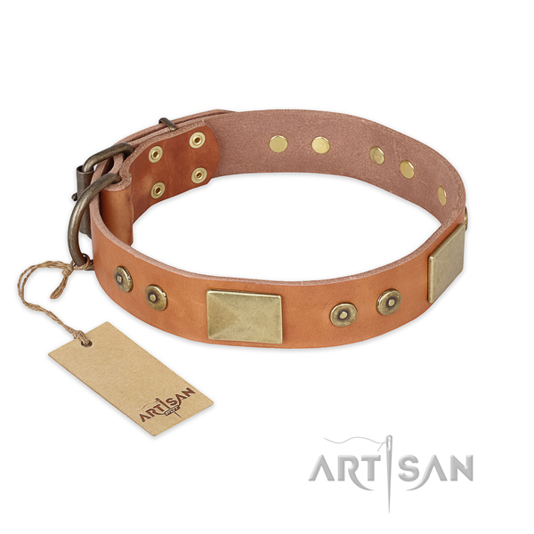 Unique leather dog collar for everyday use