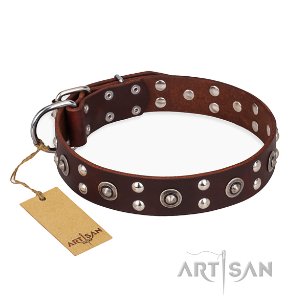 Comfy wearing extraordinary dog collar with durable traditional buckle