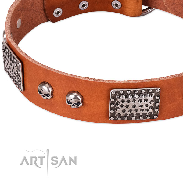 Durable traditional buckle on full grain leather dog collar for your canine