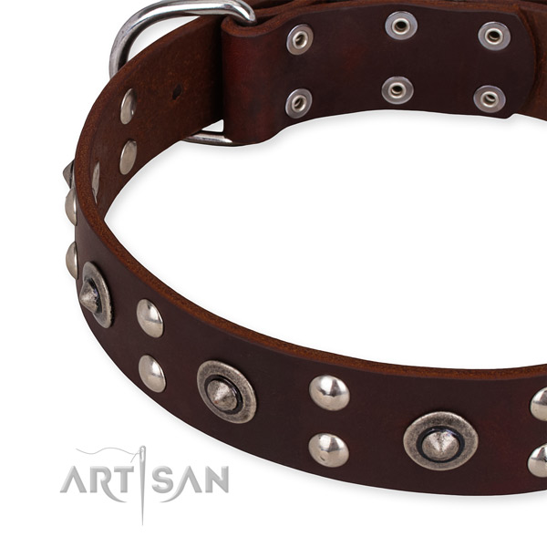Full grain genuine leather collar with rust resistant hardware for your handsome dog