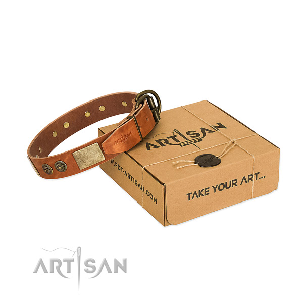 Rust resistant fittings on full grain leather dog collar for fancy walking