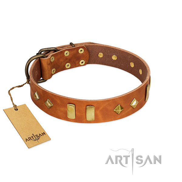Everyday use reliable full grain genuine leather dog collar with adornments