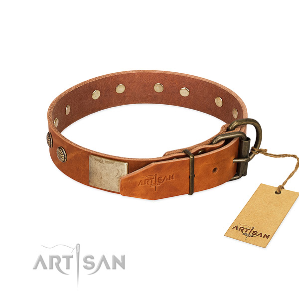 Reliable buckle on daily use dog collar