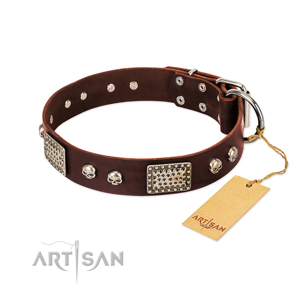 Adjustable full grain natural leather dog collar for everyday walking your pet