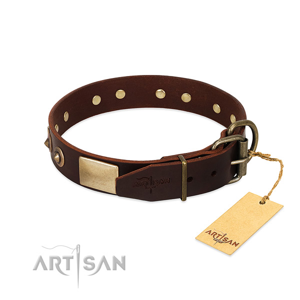 Durable adornments on basic training dog collar