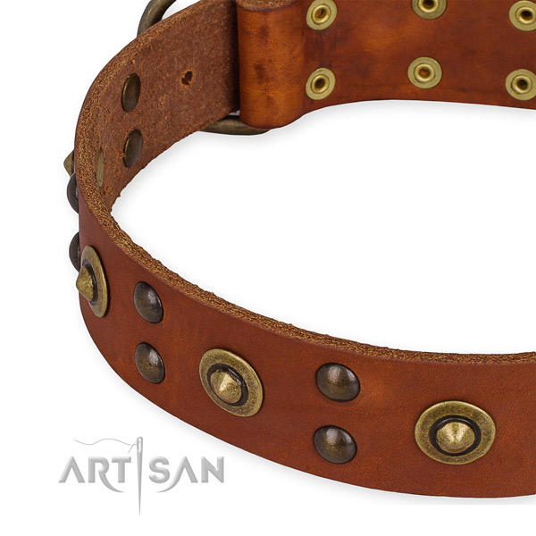 Full grain natural leather collar with corrosion resistant D-ring for your handsome doggie