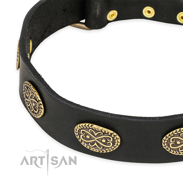 Adorned full grain natural leather collar for your handsome four-legged friend