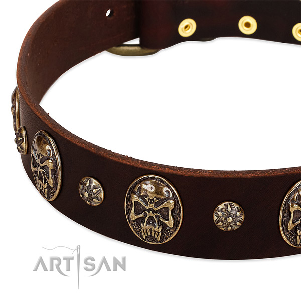 Durable decorations on genuine leather dog collar for your dog