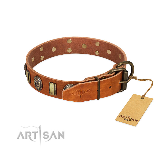 Full grain leather dog collar with corrosion proof fittings and decorations