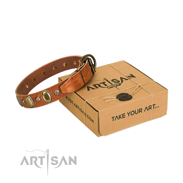 Stunning natural leather dog collar with durable D-ring