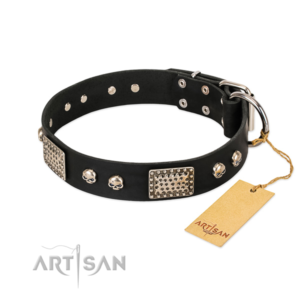 Easy to adjust full grain leather dog collar for stylish walking your canine