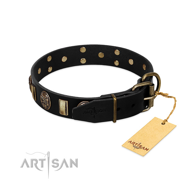 Natural genuine leather dog collar with reliable fittings and decorations